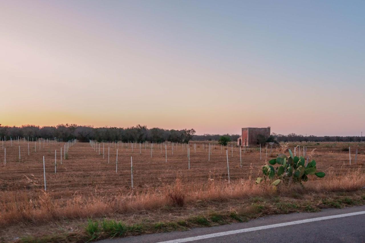 Bed And Breakfast Cairoli Exclusive Room San Pietro Vernotico Bagian luar foto